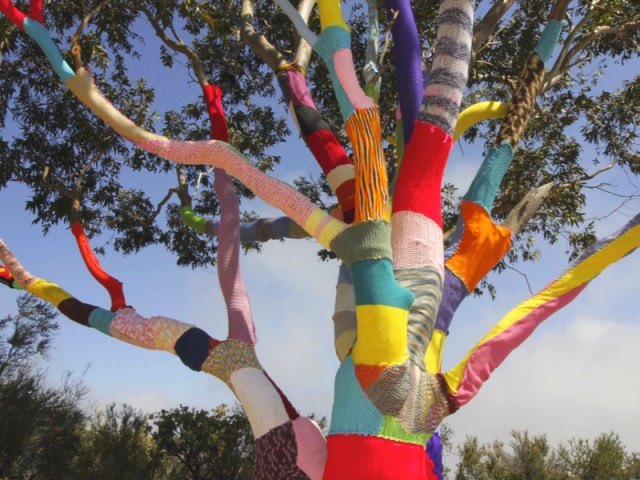 1 photo d'un arbre recouvert de laine